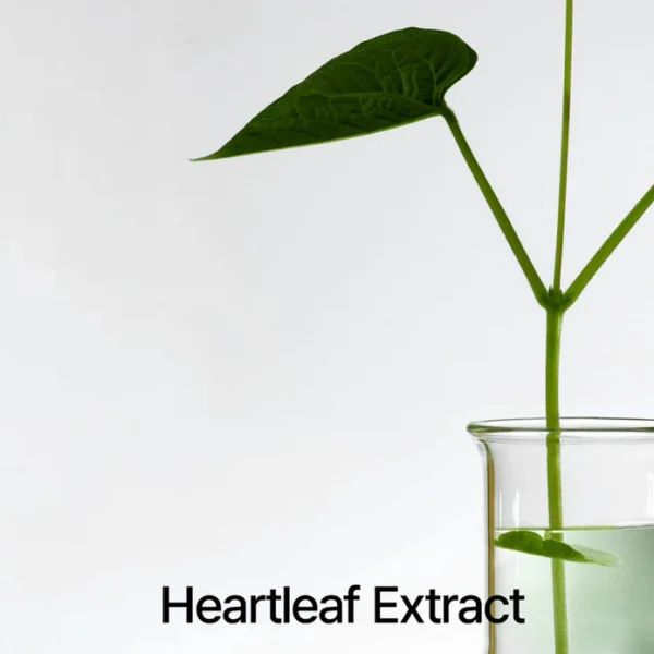 ANUA Heartleaf 77% Soothing Toner - Tónico Facial 40ml - Mini Talla - Imagen 3