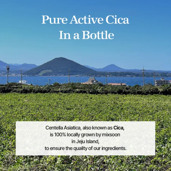 MIXSOON Soondy Centella Asiatica Essence - Esencia calmante 50ml - Imagen 4