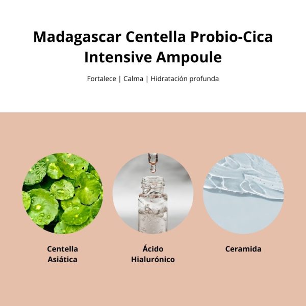 SKIN1004 Probio-Cica Intensive Ampoule - Serum Nutritivo 30 ml - Mini Talla - Imagen 2
