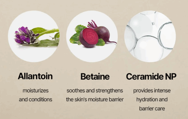 MIXSOON Centella Toner Pad - 120 pzs - Imagen 2