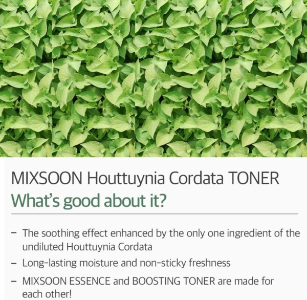 MIXSOON Heartleaf Toner - 150ml - Imagen 3