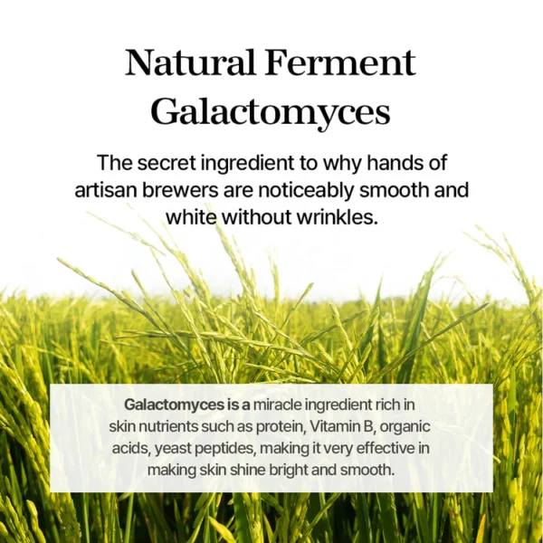 MIXSOON Galactomyces Ferment Essence - 30ml - Imagen 3