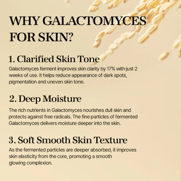 MIXSOON Galactomyces Ferment Essence - 30ml - Imagen 2