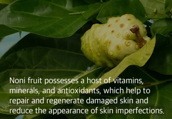 MIXSOON Noni Fruit Essence - 100ml - Imagen 3