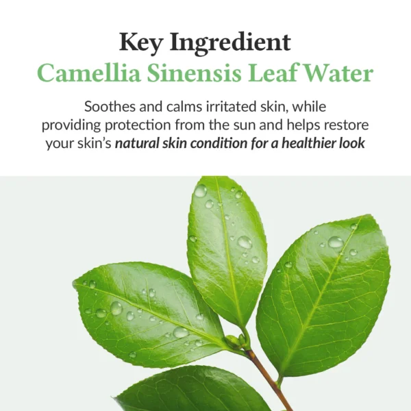 DR. ALTHEA Green Tea Fotoprotector SPF50+ - 45ml - Imagen 4